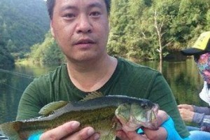 江南地区路亚钓鱼指南（探寻江南地区路亚钓鱼的技巧与乐趣）