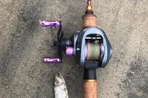 探讨钓鱼路亚和台钓的优劣与适用性（比较两种钓法的特点及钓鱼路亚的关键优势）