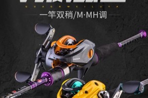 海边钓鱼的最佳选择——以路亚竿使用线材建议（选择正确的线材，提升海边钓鱼成功率）