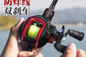 以路亚竿水滴轮能钓鱼吗？（揭秘以路亚竿水滴轮的钓鱼效果与技巧）