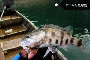 探寻海里的乐趣——路亚杆钓鱼之旅（海钓新玩法解析，路亚杆让你捕获丰富多样的鱼群）