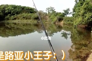 揭秘路亚钓鱼的成功之道（探索路亚钓鱼的奥秘，让你也能成为大鱼捕手）