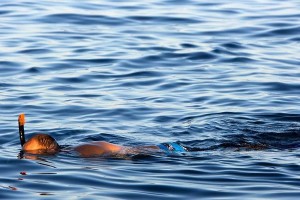 掌握海里游泳的技巧（在海里游泳的关键技巧和注意事项）