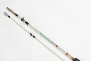 探究以路亚实心杆钓鱼的技巧与魅力（以路亚实心杆钓鱼，技巧成就丰收，挑战你的钓鱼极限！）