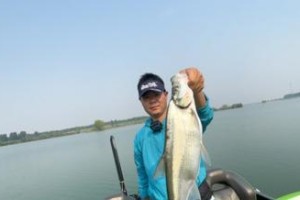 江夏区路亚钓鱼之乐——探索水下世界的精彩（江夏区路亚钓鱼的技巧与经验）