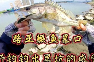 以路亚黑坑钓鱼（探讨以路亚黑坑钓鱼的成本与回报）