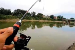 水深对于路亚钓鱼的重要性（寻找最佳水深以提高路亚钓鱼效果）