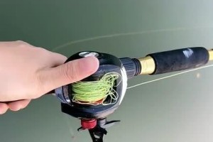 新手钓鱼，如何选择台钓还是路亚钓？（探讨适合新手的钓鱼方式，为您带来快乐钓鱼体验）