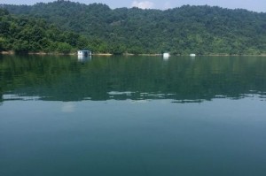 以太平湖路亚钓鱼指南（探索以太平湖的路亚钓鱼之旅）