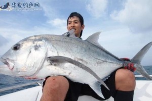路亚海钓的理想与现实（探索海洋深处的乐趣与挑战）