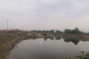 探秘临武县路亚黑坑钓鱼圣地（揭秘临武县路亚黑坑钓鱼的最佳地点与技巧）