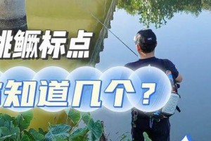 路亚钓鱼的必备狙击枪（选择适合路亚钓鱼的狙击枪器材指南）