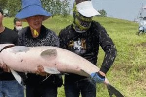 小朋友用路亚钓鱼，欢乐探索水中世界（引领孩子自然探索，培养耐心和团队精神）