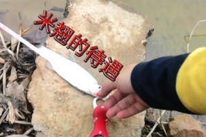 阴天正午路亚钓鱼技巧大揭秘（钓鱼爱好者必看！轻松掌握阴天正午路亚钓法）