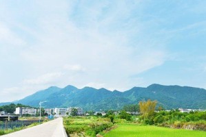 连江县丹阳镇路亚钓鱼之美（探寻丹阳镇湖泊的钓鱼之旅）