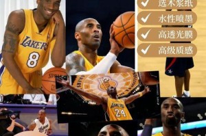 2015年NBA球员受欢迎排行榜（NBA球迷最喜欢的球员及其影响力的综合排名）