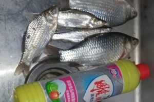 探寻官湖的钓鱼路亚天堂（挑战钓鱼路亚极限，官湖最佳地点等你来战！）