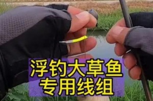 探索路亚线钓鱼的技巧与乐趣（如何运用路亚线钓鱼技巧，享受钓鱼的乐趣）