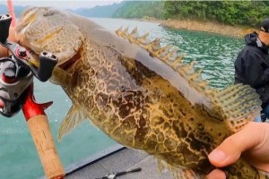 大月亮对路亚钓鱼的影响（探索月相变化对路亚钓鱼的关键因素）