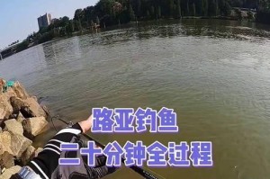 以路亚直接用主线钓鱼的实践与技巧（探索路亚钓法的新领域，以主线为纽带将钓鱼技术发挥至极致）