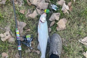 钓鱼技巧达人（用心、智慧和耐心，成为路亚钓鱼界的新生力量）