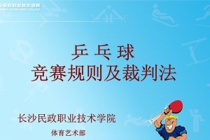 室外乒乓球规则标准及技巧指南（探索室外乒乓球的规则、技巧和策略）