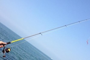 以永川可以用路亚钓鱼吗？（探讨永川地区路亚钓鱼的可行性及优势）