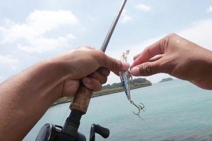 探索海钓路亚石斑鱼的魅力（使用顶级石斑鱼钓鱼竿，感受海洋的神秘之旅）