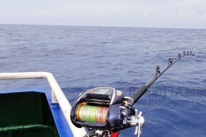 海边钓鱼的线组选择与路亚技巧（海钓线组与路亚选择，让你成为海边钓鱼高手）